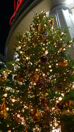 P1000819.jpg