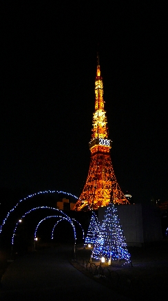 P1010012.jpg