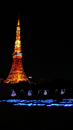 P1010015.jpg
