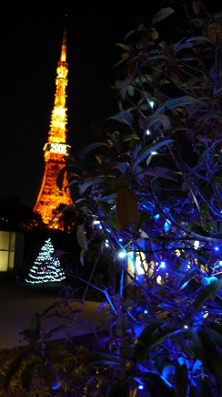 P1010034.jpg