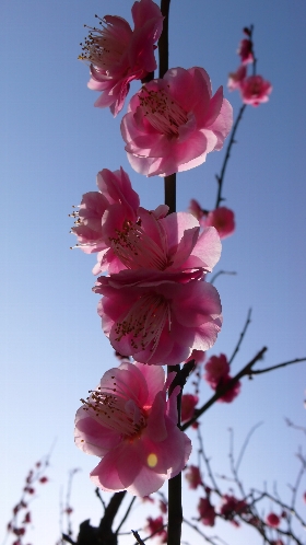 P1010253_NI.jpg