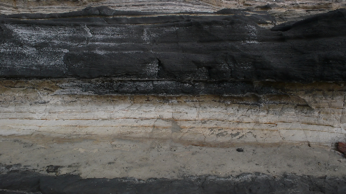 P1010301_NI.jpg