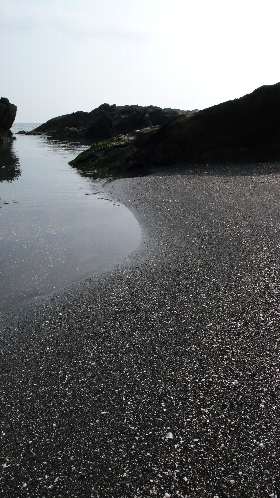 P1010316_NI.jpg