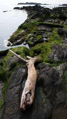 P1010319_NI.jpg