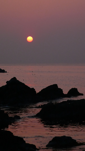 P1010421_NI.jpg