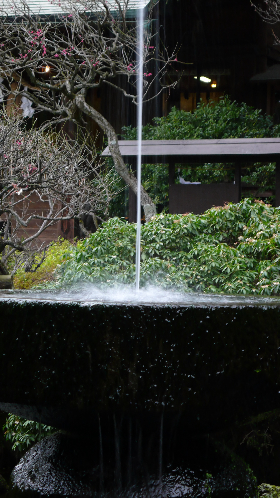 P1010500_NI.jpg