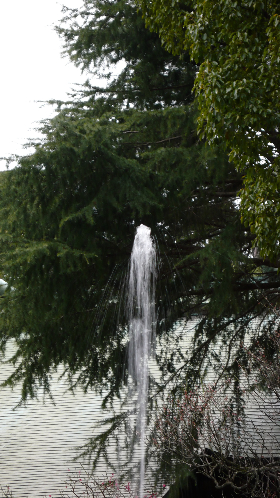 P1010501_NI.jpg