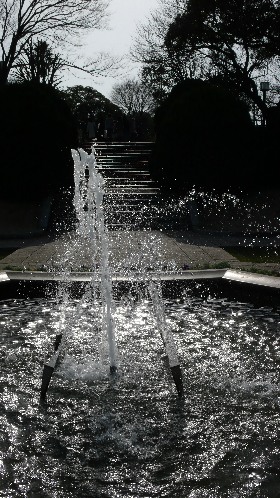P1010536_NI.jpg