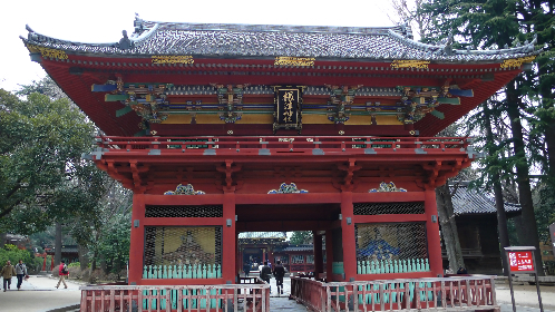 P1010581_NI.jpg