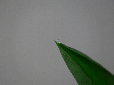 P1020241.jpg